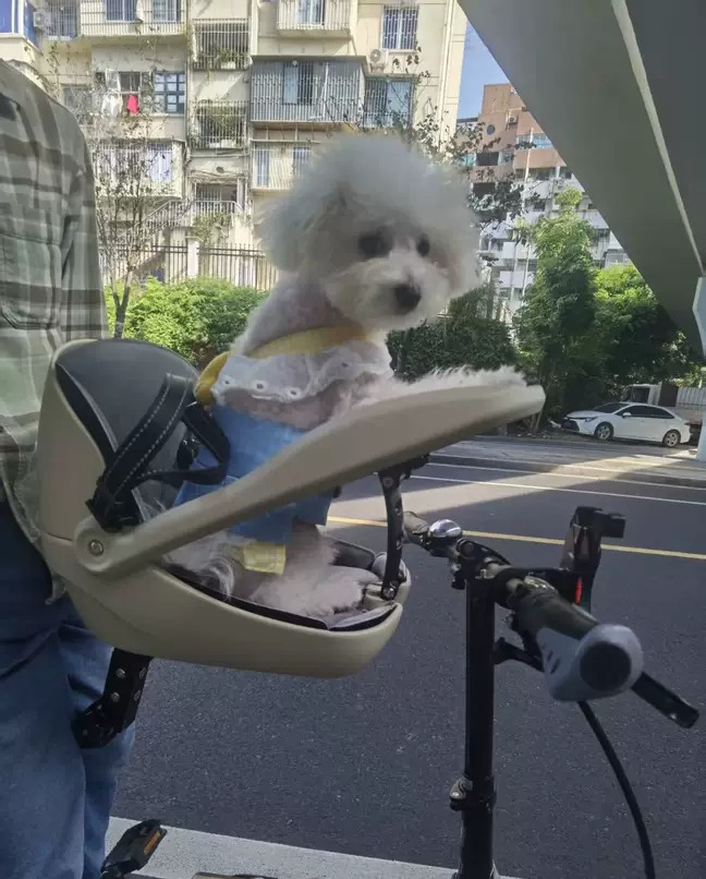 Подходит для складных велосипе – обзор и цена Mountain Biking With Dog